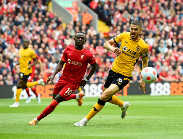 者提供了凝 者提供了凝