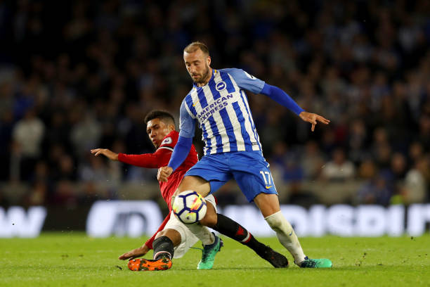 蒙德引进的 蒙德引进的