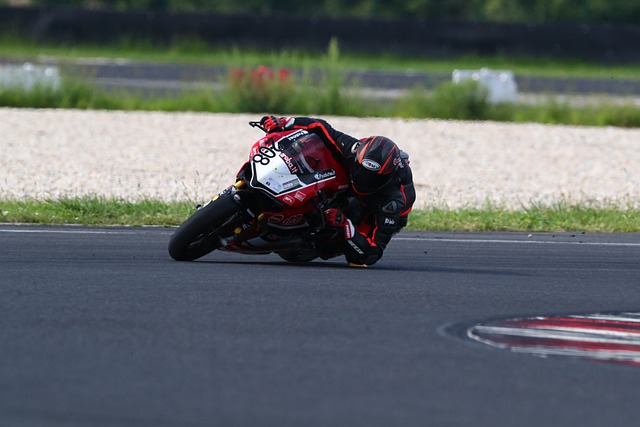 用以引入其 用以引入其